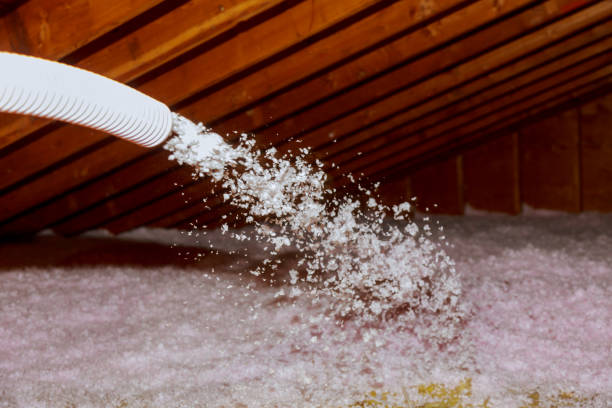 Best Affordable Insulation Services  in Lake Darby, OH